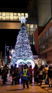 2016 Fukui Winter ILLUMINATION 光でつなぐ　ふくいの冬空