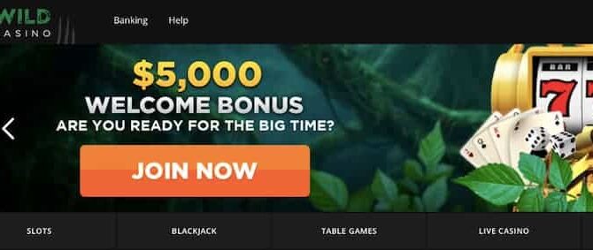 20 ohne Einzahlung nach Book of Horus Slot von Lionline