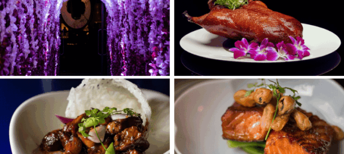 DraftKings Promo Code: Wager $5, Score $3 hundred Inside about thrills casino Incentive Bets If the Wager Gains