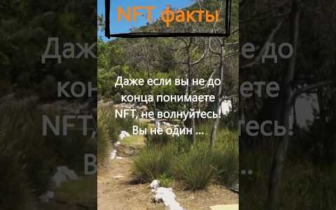 Что Такое Nft: История Появления, Особенности, Как Заработать На Nft?