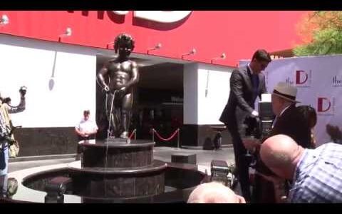 100 percent free soccer slots casino Pokies: Play Free online Pokies in australia enjoyment