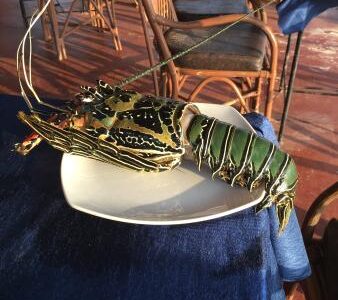 Setting bitcoin online casino bonus up Sphinx